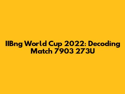IIBng World Cup 2022: Decoding Match 7903 273U