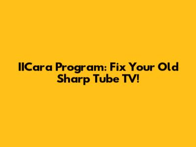 IICara Program: Fix Your Old Sharp Tube TV!