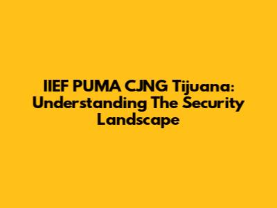 IIEF PUMA CJNG Tijuana: Understanding The Security Landscape