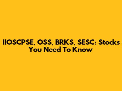 IIOSCPSE, OSS, BRKS, SESC: Stocks You Need To Know