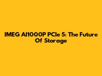 IMEG AI1000P PCIe 5: The Future Of Storage