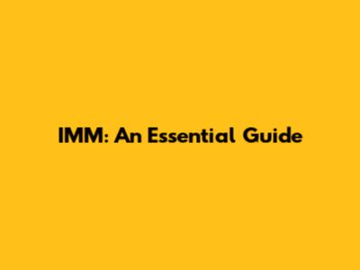 IMM: An Essential Guide