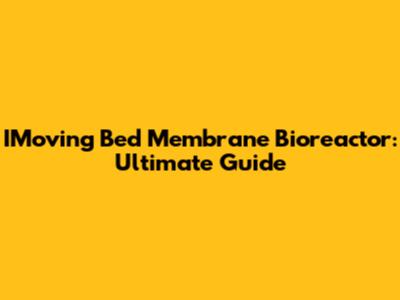 IMoving Bed Membrane Bioreactor: Ultimate Guide