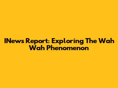 INews Report: Exploring The Wah Wah Phenomenon