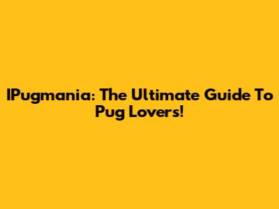 IPugmania: The Ultimate Guide To Pug Lovers!