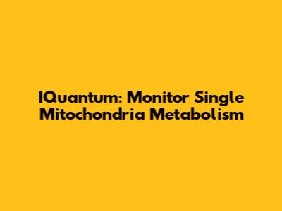 IQuantum: Monitor Single Mitochondria Metabolism