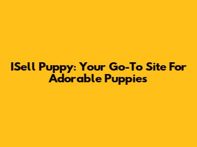 ISell Puppy: Your Go-To Site For Adorable Puppies