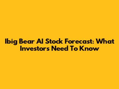 Ibig Bear AI Stock Forecast: What Investors Need To Know