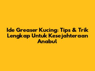 Ide Greaser Kucing: Tips & Trik Lengkap Untuk Kesejahteraan Anabul