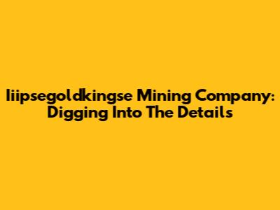 Iiipsegoldkingse Mining Company: Digging Into The Details
