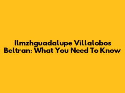 Ilmzhguadalupe Villalobos Beltran: What You Need To Know