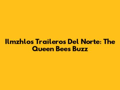 Ilmzhlo's Traileros Del Norte: The Queen Bee's Buzz