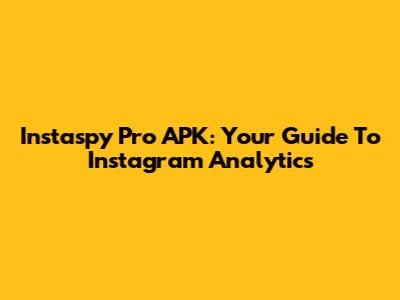 Instaspy Pro APK: Your Guide To Instagram Analytics