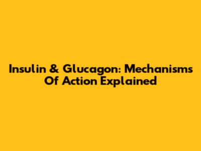 Insulin & Glucagon: Mechanisms Of Action Explained