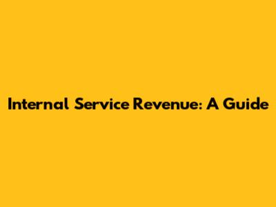 Internal Service Revenue: A Guide