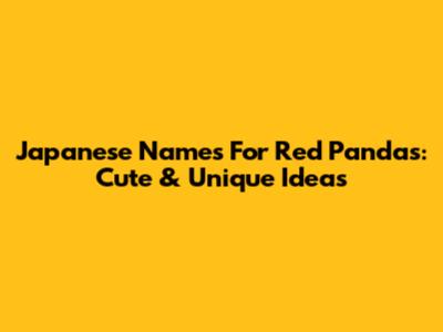 Japanese Names For Red Pandas: Cute & Unique Ideas