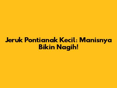 Jeruk Pontianak Kecil: Manisnya Bikin Nagih!