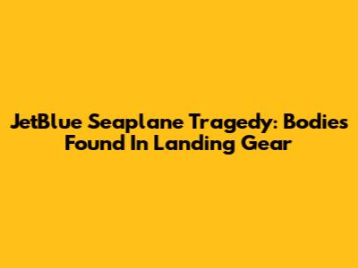 JetBlue Seaplane Tragedy: Bodies Found In Landing Gear