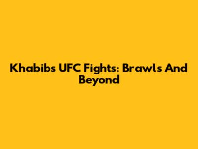 Khabib's UFC Fights: Brawls And Beyond