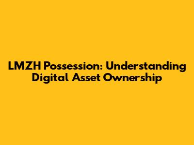 LMZH Possession: Understanding Digital Asset Ownership