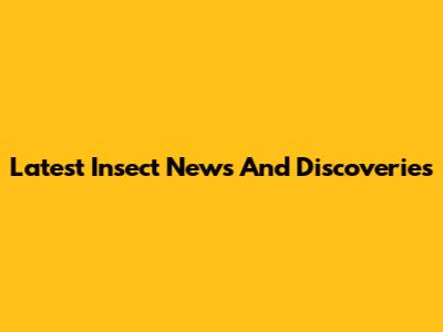 Latest Insect News And Discoveries