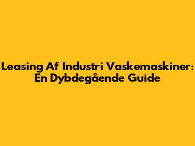 Leasing Af Industri Vaskemaskiner: En Dybdegående Guide