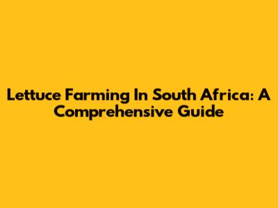 Lettuce Farming In South Africa: A Comprehensive Guide