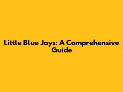 Little Blue Jays: A Comprehensive Guide