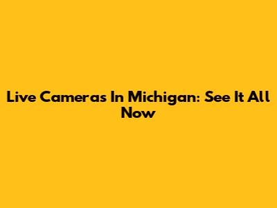 Live Cameras In Michigan: See It All Now