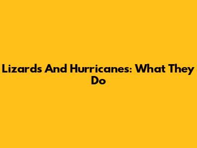 Lizards And Hurricanes: What They Do