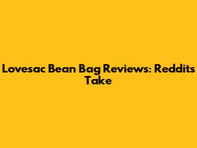 Lovesac Bean Bag Reviews: Reddit's Take