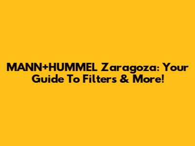 MANN+HUMMEL Zaragoza: Your Guide To Filters & More!