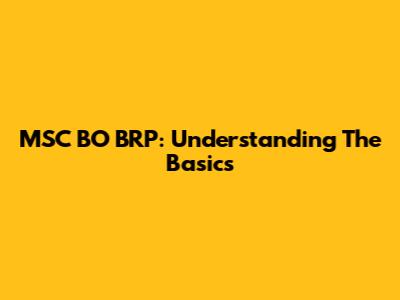 MSC BO BRP: Understanding The Basics