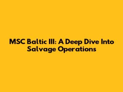 MSC Baltic III: A Deep Dive Into Salvage Operations