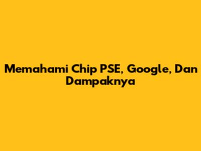 Memahami Chip PSE, Google, Dan Dampaknya
