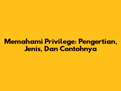 Memahami Privilege: Pengertian, Jenis, Dan Contohnya