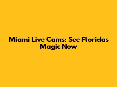 Miami Live Cams: See Florida's Magic Now