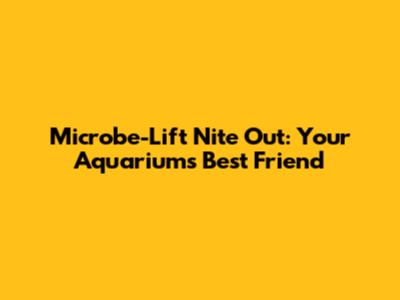 Microbe-Lift Nite Out: Your Aquarium's Best Friend