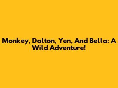 Monkey, Dalton, Yen, And Bella: A Wild Adventure!