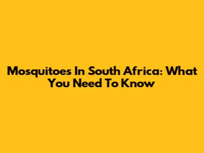 Mosquitoes In South Africa: What You Need To Know