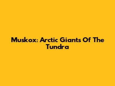 Muskox: Arctic Giants Of The Tundra