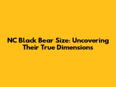NC Black Bear Size: Uncovering Their True Dimensions