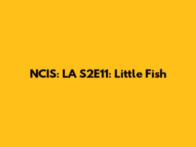 NCIS: LA S2E11: "Little Fish"