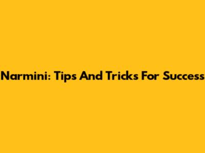 Narmini: Tips And Tricks For Success