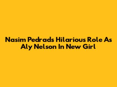 Nasim Pedrad's Hilarious Role As Aly Nelson In New Girl