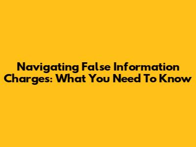 Navigating False Information Charges: What You Need To Know
