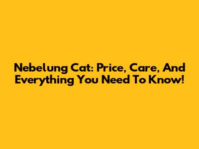 Nebelung Cat: Price, Care, And Everything You Need To Know!