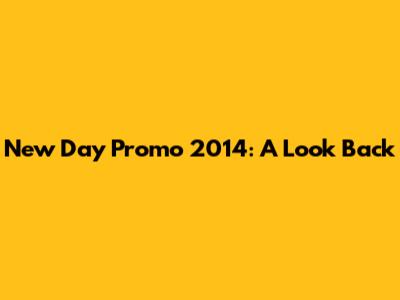 New Day Promo 2014: A Look Back