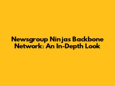 Newsgroup Ninja's Backbone Network: An In-Depth Look