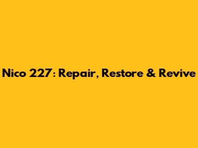 Nico 227: Repair, Restore & Revive